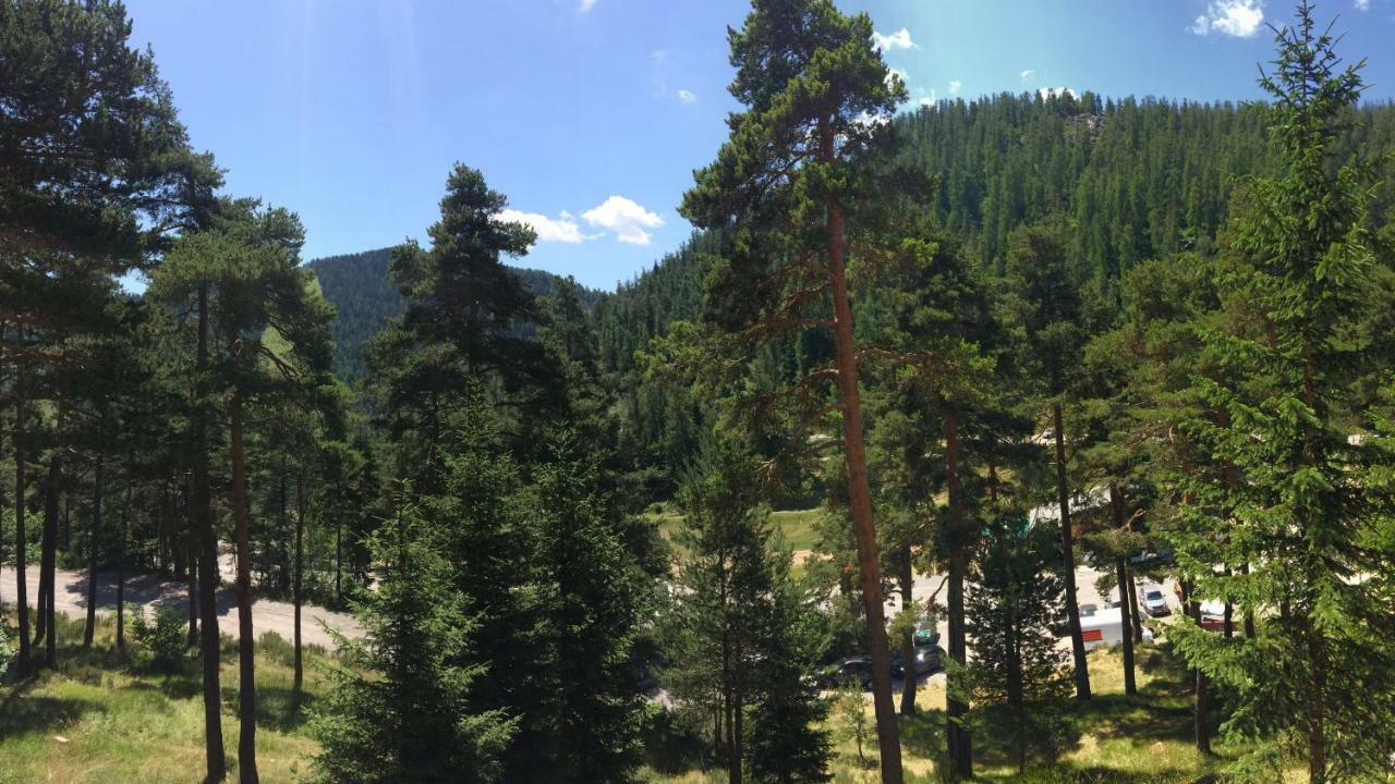 Le Meleze Daire Valdeblore Dış mekan fotoğraf