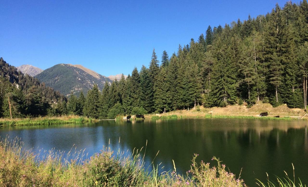 Le Meleze Daire Valdeblore Dış mekan fotoğraf